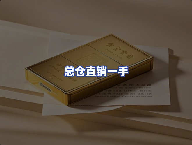 专业团队